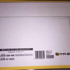 宅急便コンパクト 専用ボックス 薄型 送り状なし9枚の画像