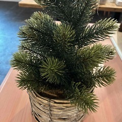 卓上クリスマスツリーの画像