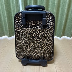 ヒョウ柄　トランクケースの画像