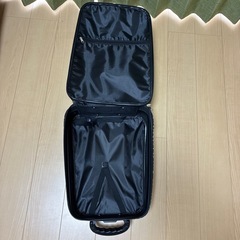 ヒョウ柄　トランクケースの画像