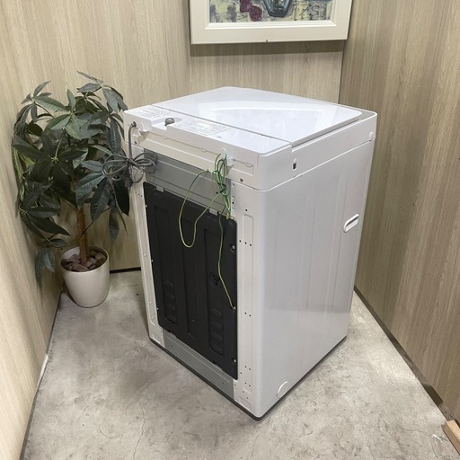 ?激安?TWINBIRD 5.5KG 洗濯機 2019年