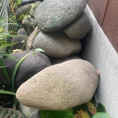 庭の石（大）　の画像