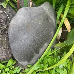 庭の石（大）　の画像