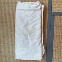 電位式敷パッドの画像