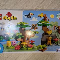 🐒 Lego Duplo 南アメリカのどうぶつたちの画像