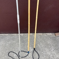 魚突きモリ🪡の画像