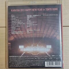 KARA 2013東京ドームツアーの画像