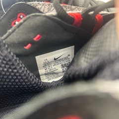 【ジャングルジャングル岸和田和泉インター】NIKE GOLF JORDAN ADG2 28.5㎝ 和泉市 堺市 岸和田市 泉大津市　の画像
