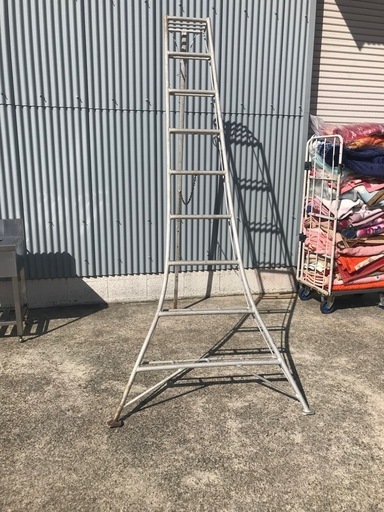 剪定梯子 アルミ製 9段 約2700