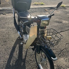 スズキバイデイの画像