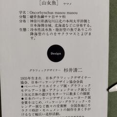 グラフィックモデルアート 杉井清二 ヤマメ 山女魚 インテリア 飾り　/MJ-1283 2Fの画像
