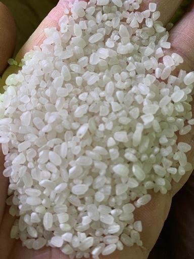 R6年産　あけぼの　３袋のみ