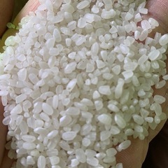 令和6年産　無農薬あけぼの米　30kgの画像