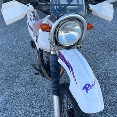 TT250R Raidの画像