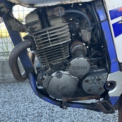 TT250R Raidの画像