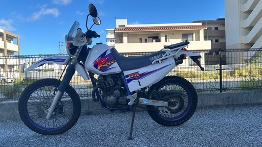 バイク TT250R Raid