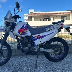 TT250R Raidの画像