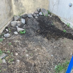土　家庭菜園用などにの画像