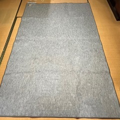 ナショナル ホットカーペットの画像