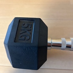 ダンベル
5kgの画像