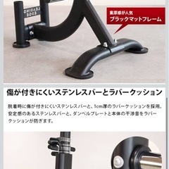 リーディングエッジ プレートラックの画像