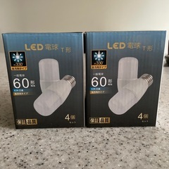 LED電球T型の画像