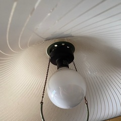 電気　電球　カバーの画像