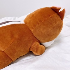 【未使用】デールぬいぐるみの画像