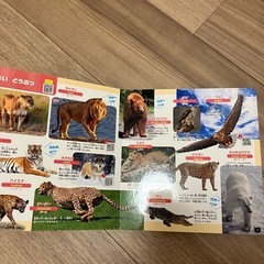たのしいどうぶつずかん　動物カードの画像