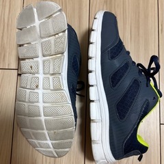 スニーカー 2足セット（The North Face & Lachatet）の画像