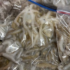 シガヤー　15〜20匹（1kg）の画像