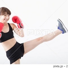 【0円】
赤いボクシンググローブ、ノーブランド、ドンキホーテ販売品【無料】の画像