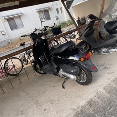 honda today af61の画像