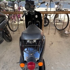 honda today af61の画像