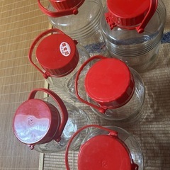 梅酒　　瓶の画像