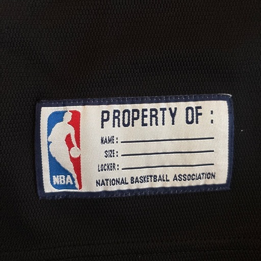 【希少！刺繍ユニフォーム】NBA アイバーソン ユニフォーム