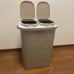 分別ゴミ箱 45L用 グレー 抗菌　の画像
