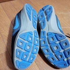 ナイキ　29.0の画像
