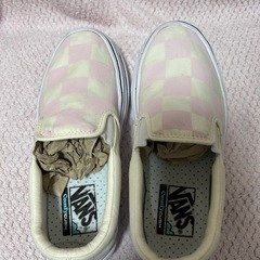スポーツサンダルとvansスリッポンの画像