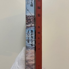 急がなくてもよいことを （ＢＥＡＭ　ＣＯＭＩＸ） ひうち棚／著　魚喃キリコ　短編集　全2冊セットの画像