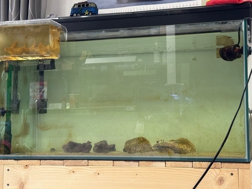 90cm水槽　エーハイム2217 上部フィルター