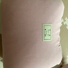 赤ちゃん持ち運び布団の画像