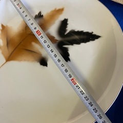 オールドノリタケ大皿3枚セットの画像
