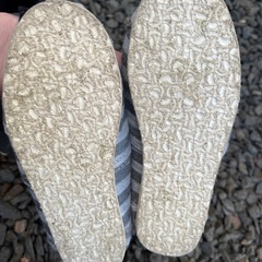 17cmの画像