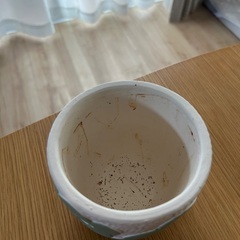 決まりました！観葉植物買って下さった方に無料でお付けします。の画像