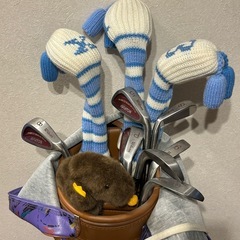 レディースゴルフバッグセットの画像