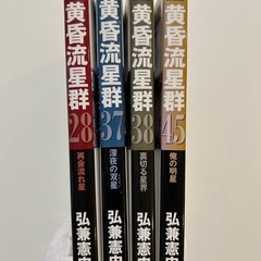 黄昏流星群（ビッグコミックス） 弘兼憲史／著　28巻37巻38巻45巻の全4冊セットの画像