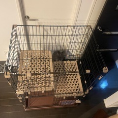 猫ケージの画像