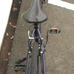 FUJI RAIZ 2023年モデル 17サイズの画像
