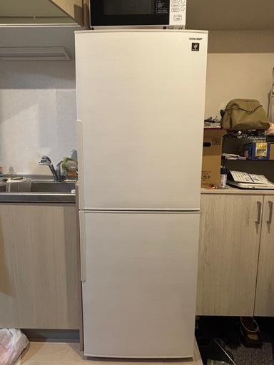 シャープ　冷凍冷蔵庫(2023年製) 美品